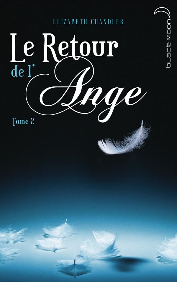 Le Retour de l'ange - Tome 2 - La Poursuite book