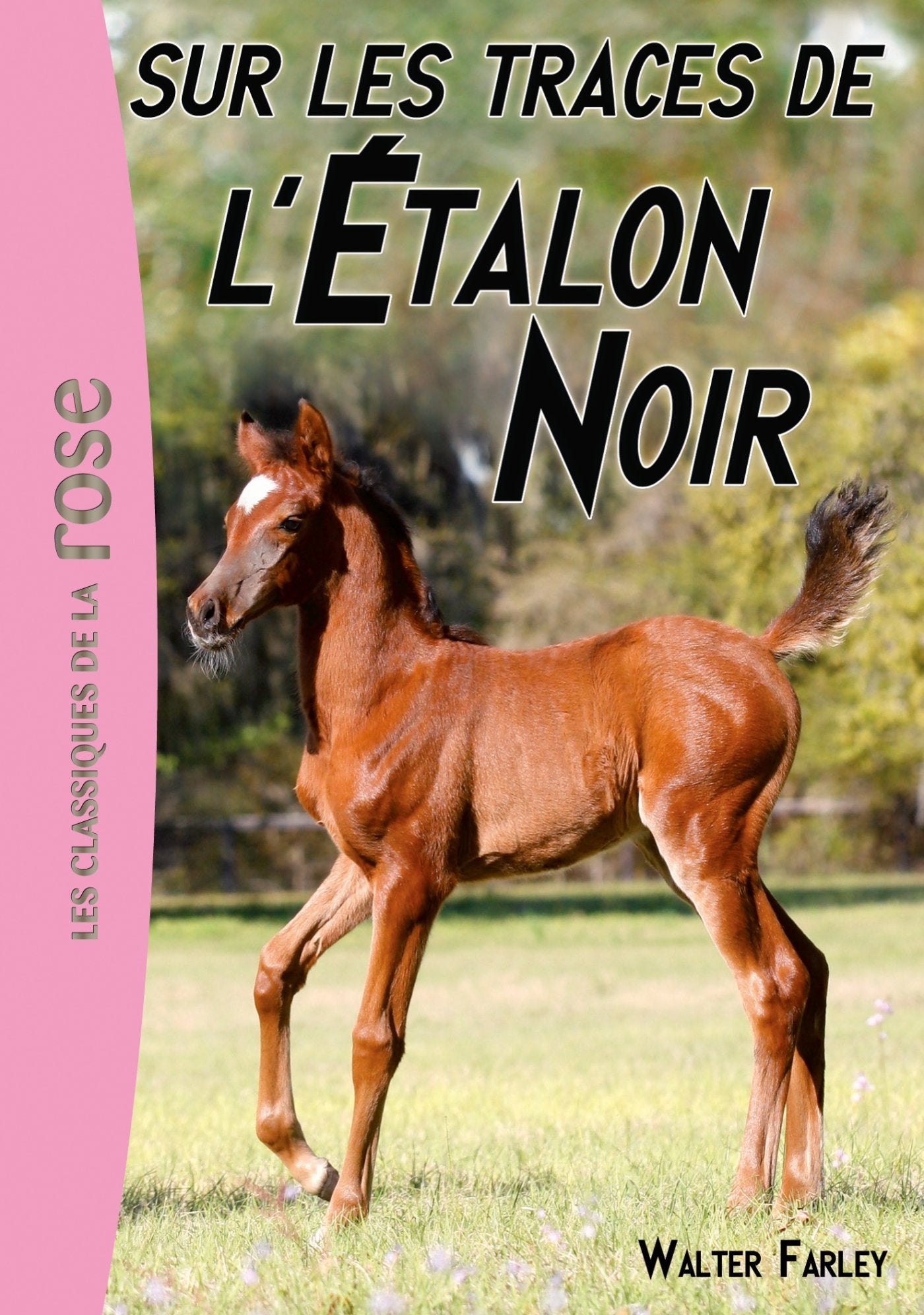 L'Étalon Noir 07 - Sur les traces de l'Étalon Noir book