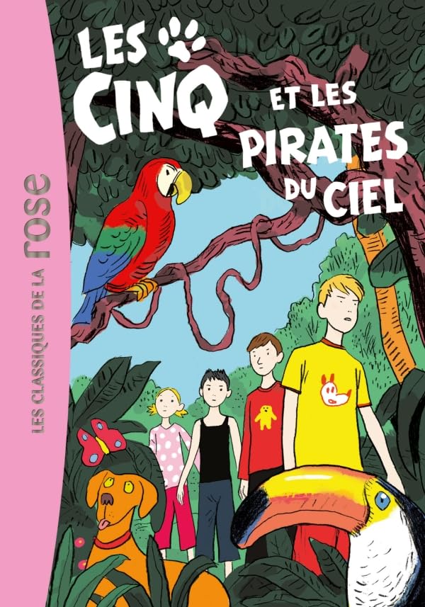 Les Cinq 26 - Les Cinq et les pirates du ciel book