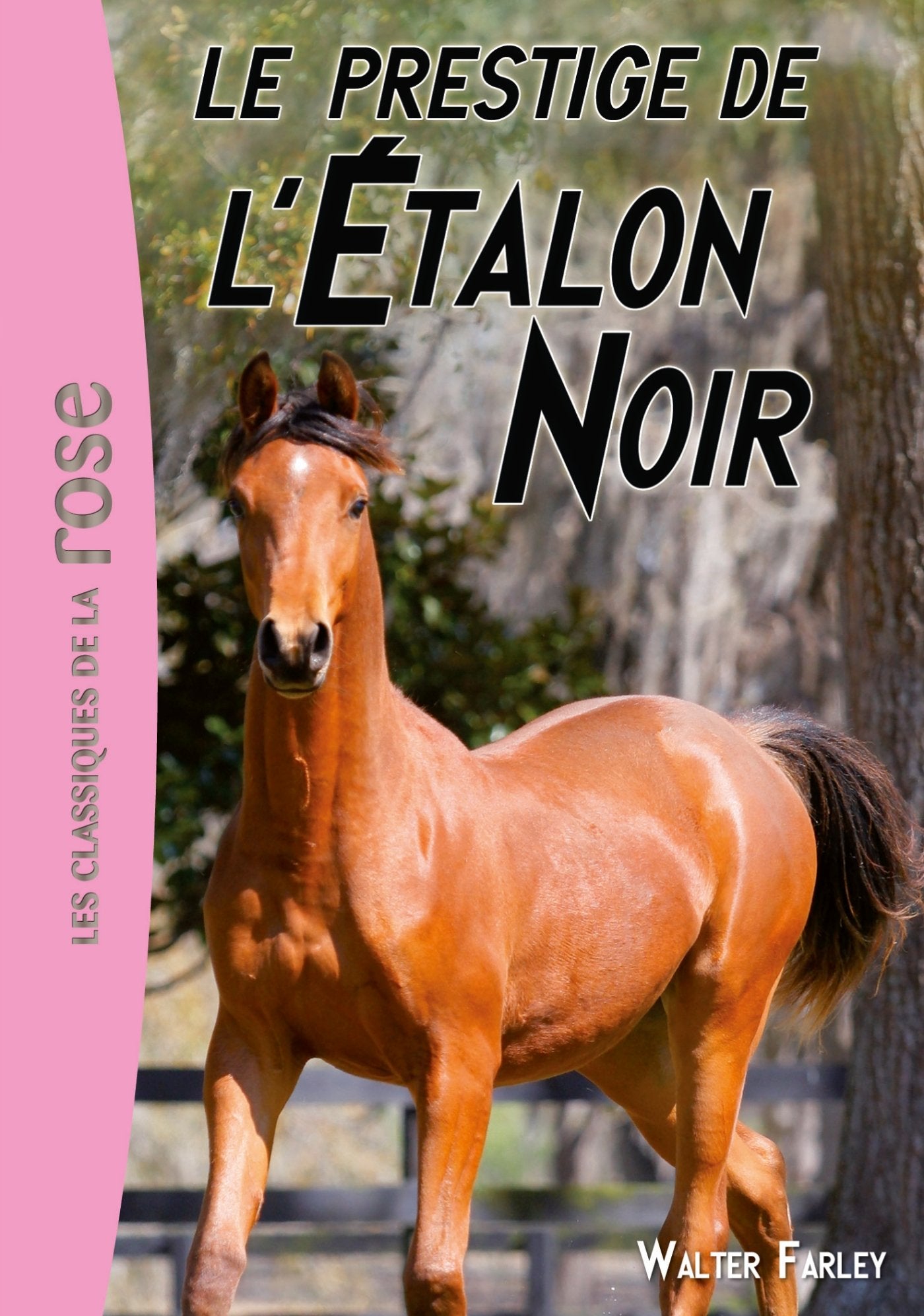 L'Étalon Noir 08 - Le prestige de l'Étalon Noir book