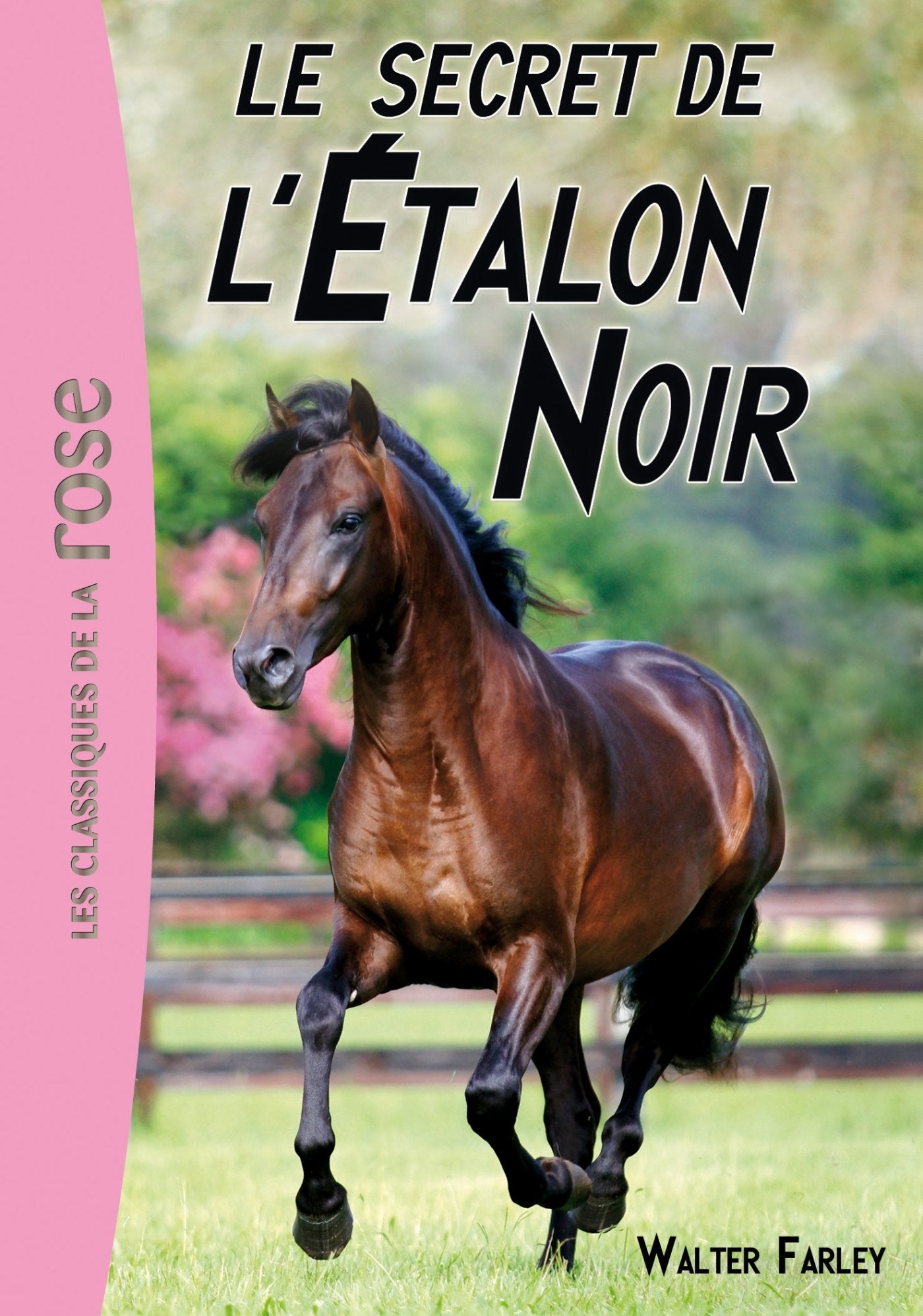 L'Étalon Noir 09 - Le secret de l'Étalon Noir book