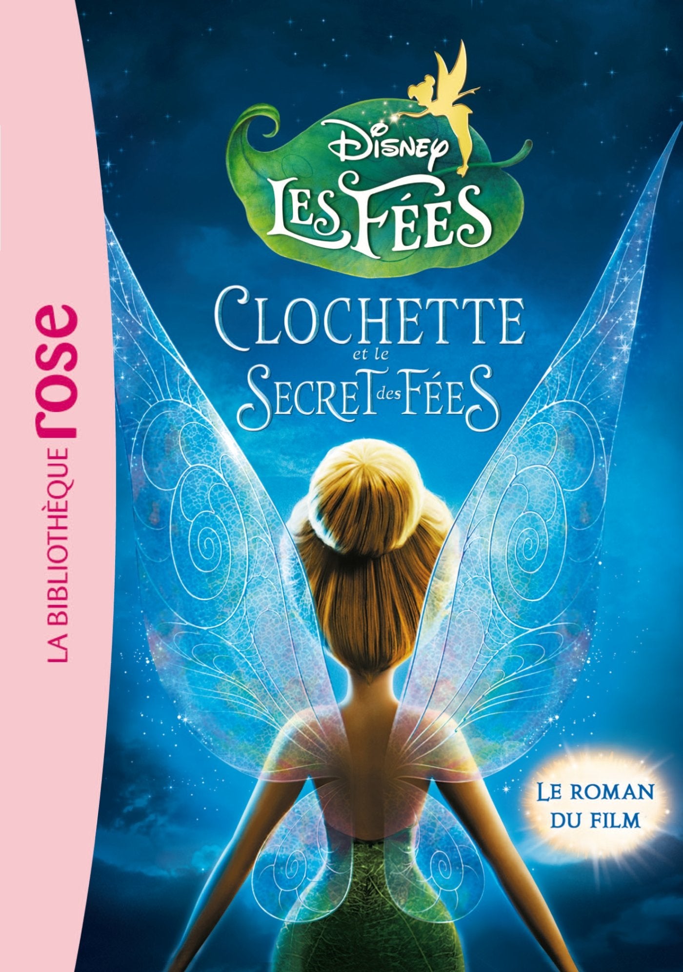 La Fée Clochette - Le roman du film 4 : Le secret des Fées Children's books