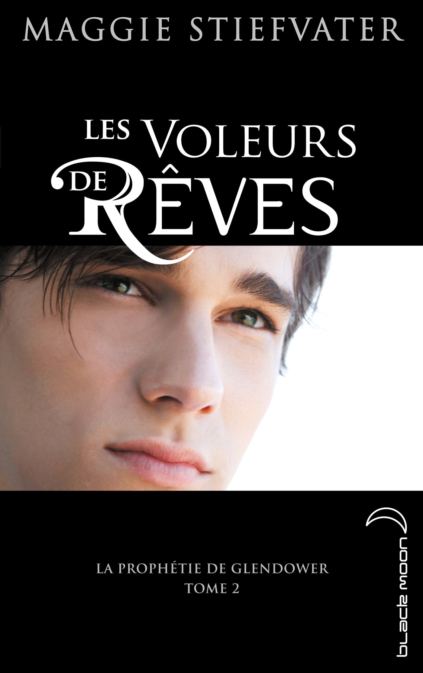 La prophétie de Glendower: Tome 2, Les voleurs de rêves book