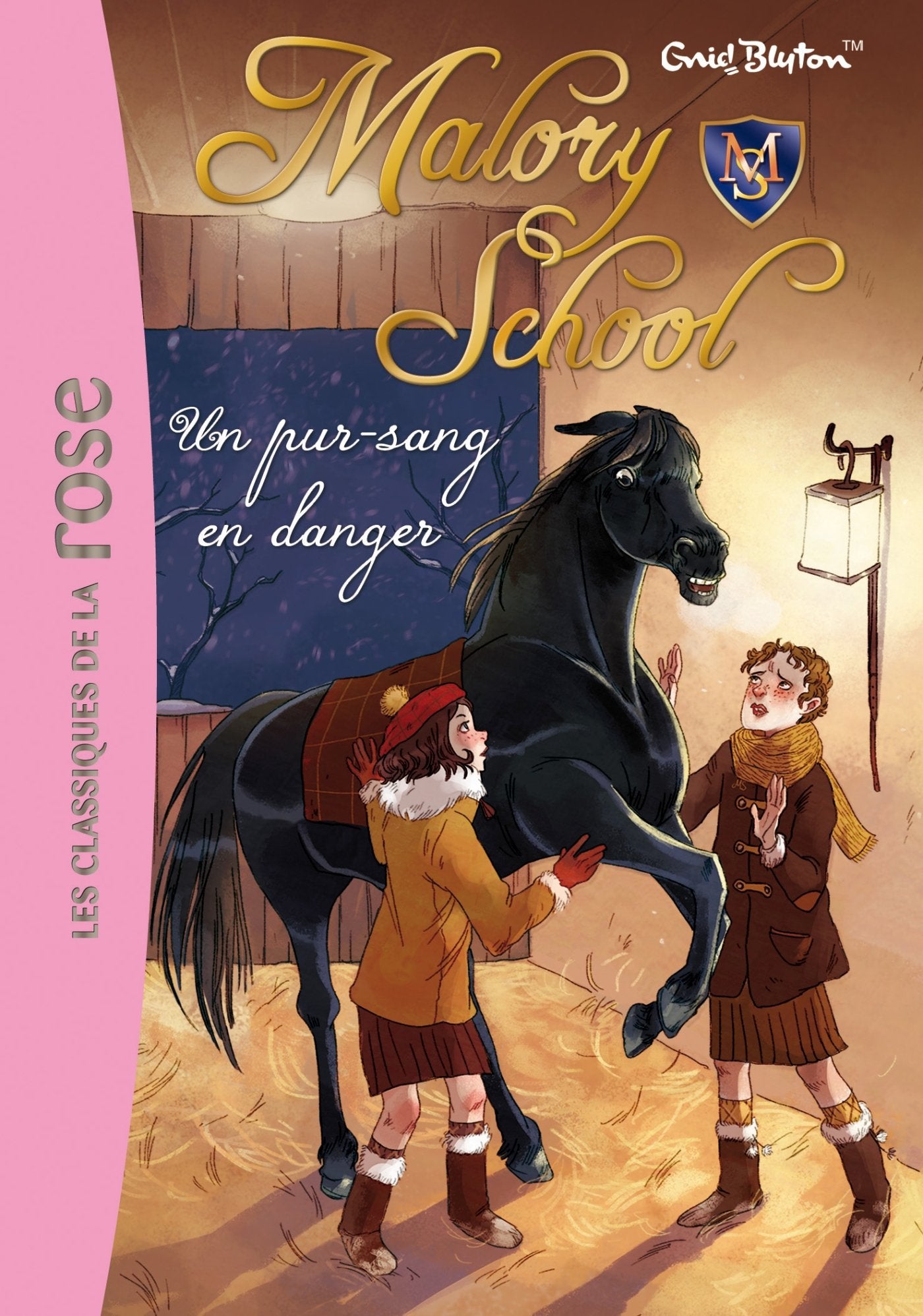 Malory School 03 - Un pur-sang en danger book