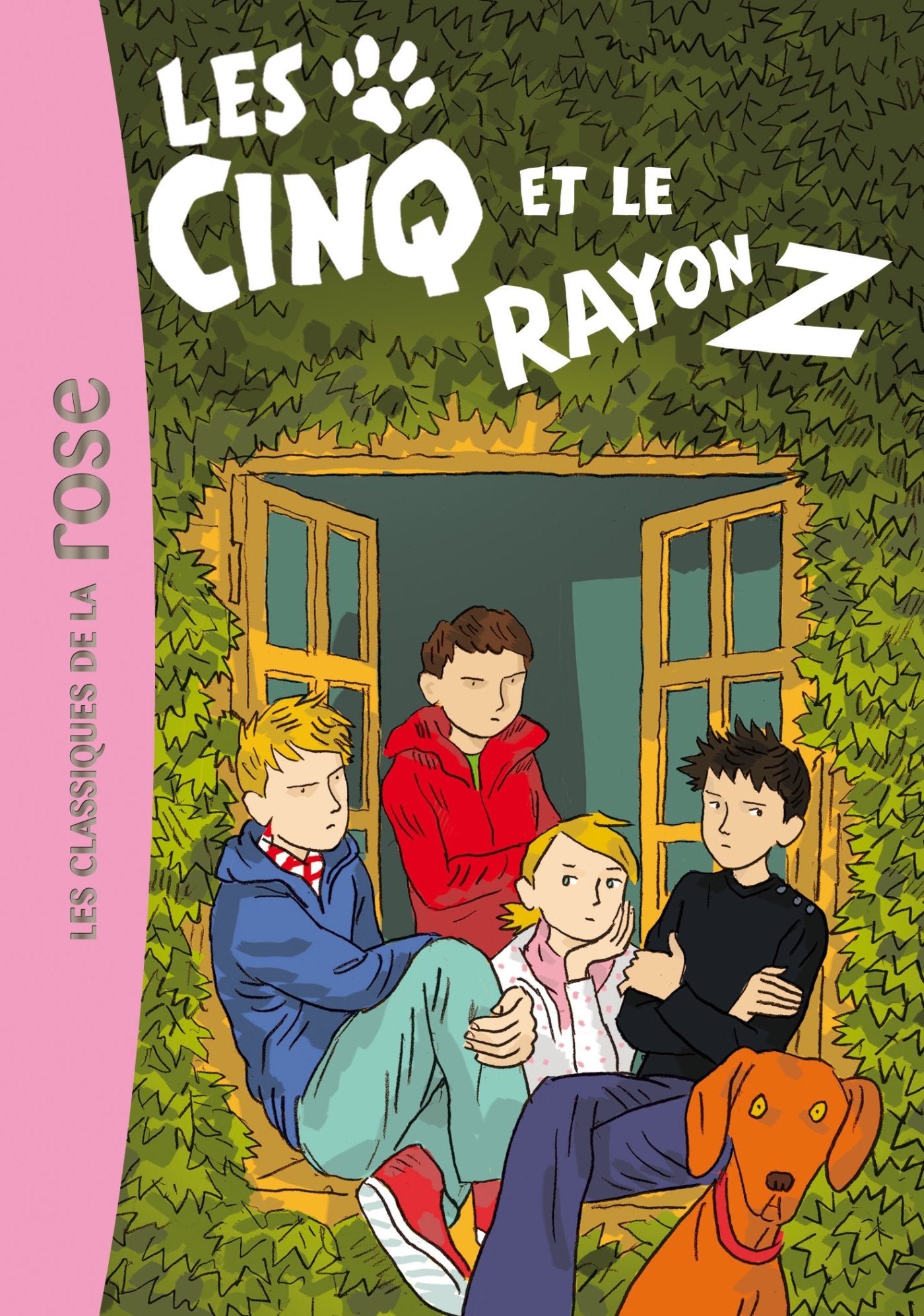 Les Cinq 32 - Les Cinq et le rayon Z book