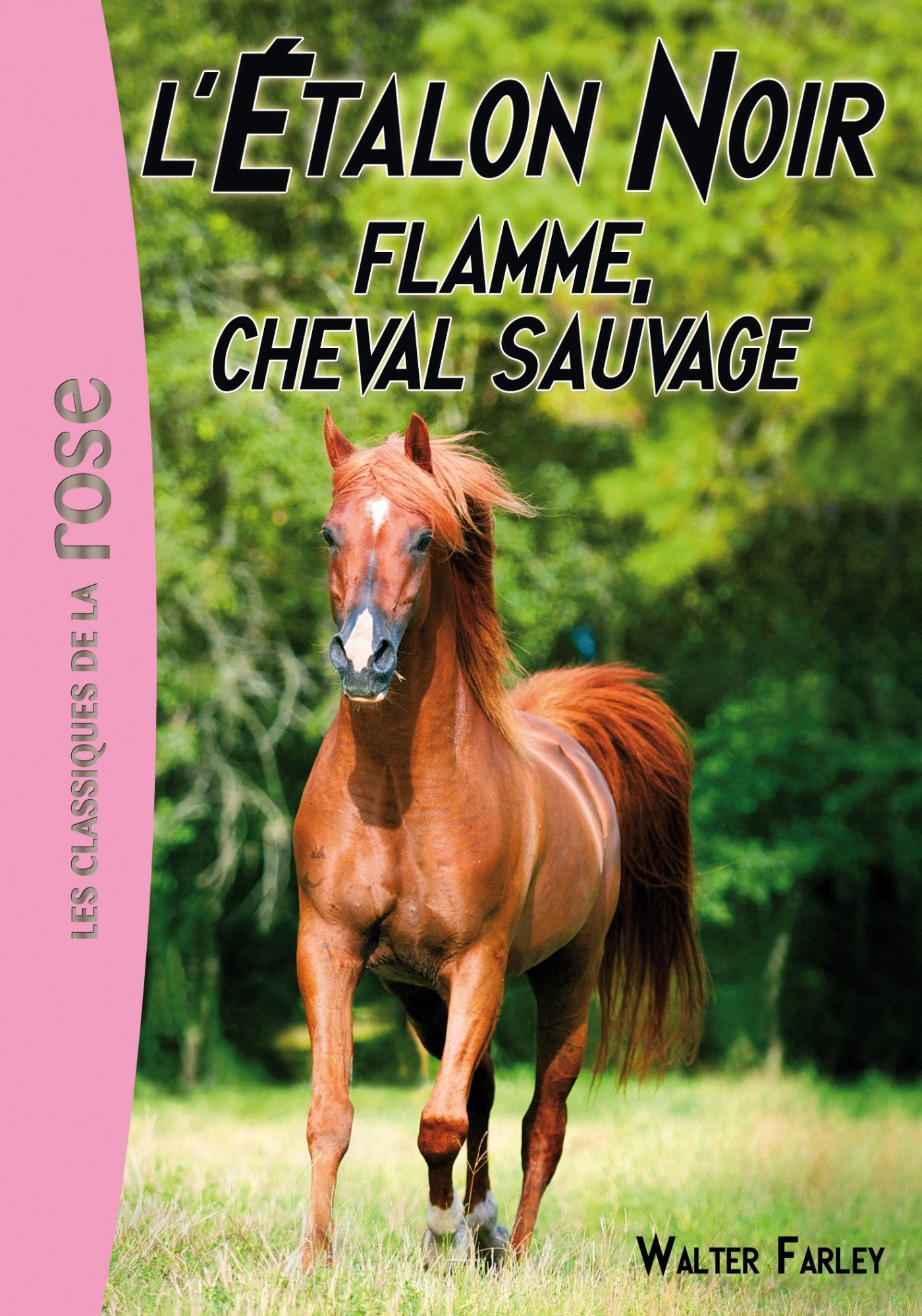 L'Étalon Noir 10 - Flamme, cheval sauvage Children's books