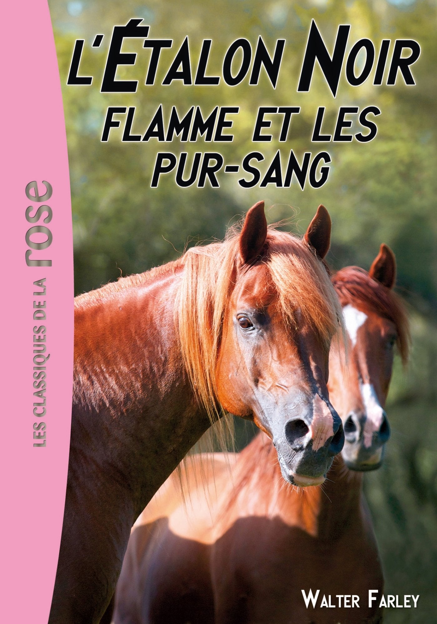 L'Étalon Noir 11 - Flamme et les pur-sang Novels & Short Stories