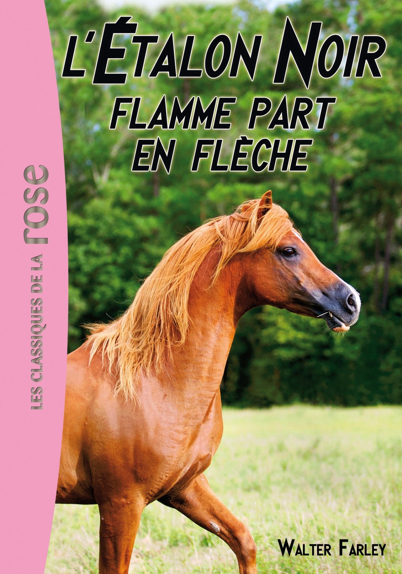 L'Étalon Noir 12 - Flamme part en flèche Novels & Short Stories