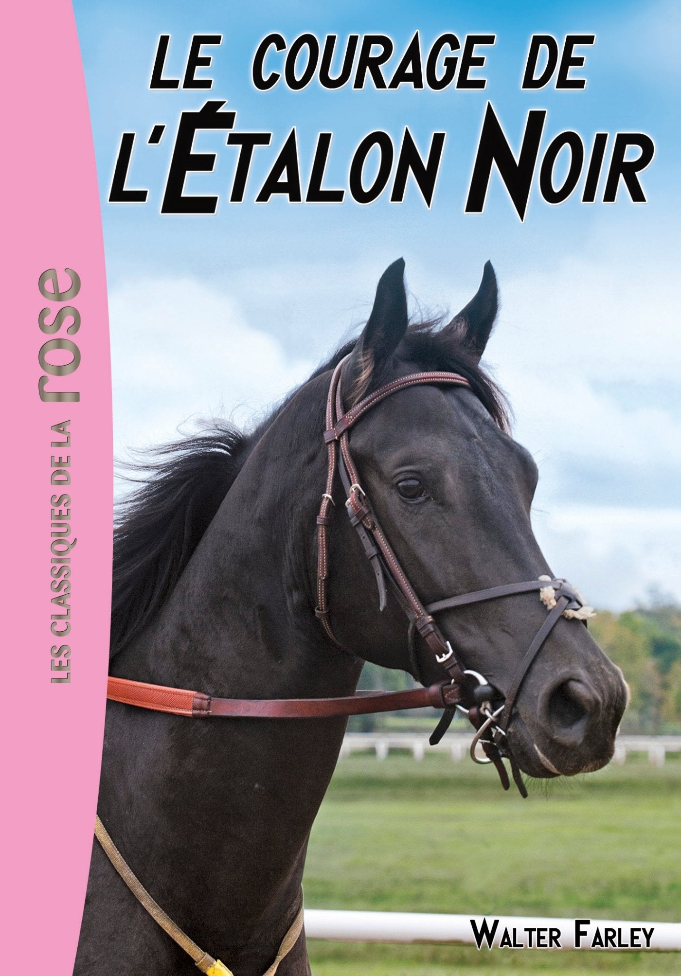 L'Étalon Noir 13 - Le courage de l'Etalon Noir book