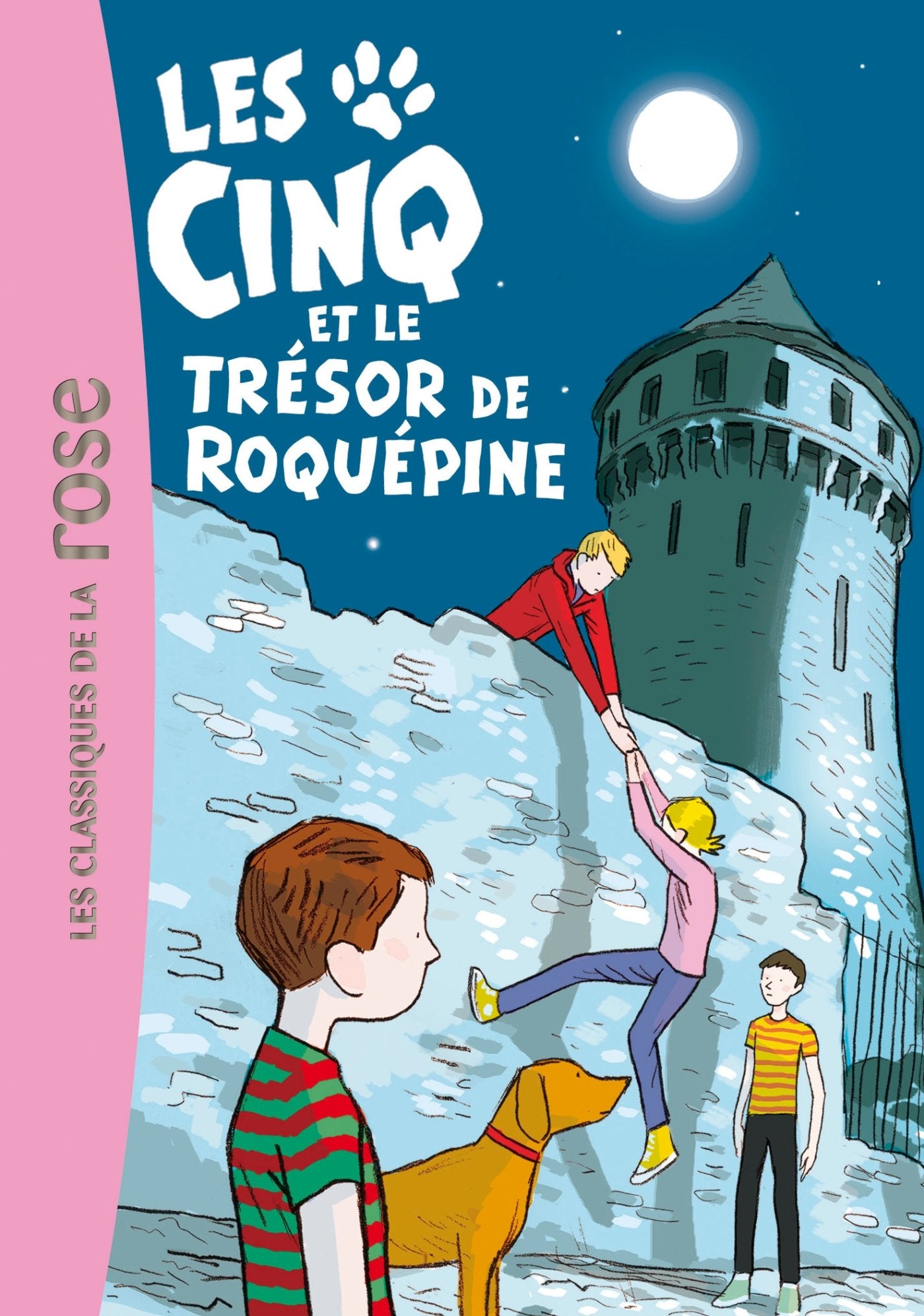 Les Cinq 36 - Les Cinq et le trésor de Roquépine book