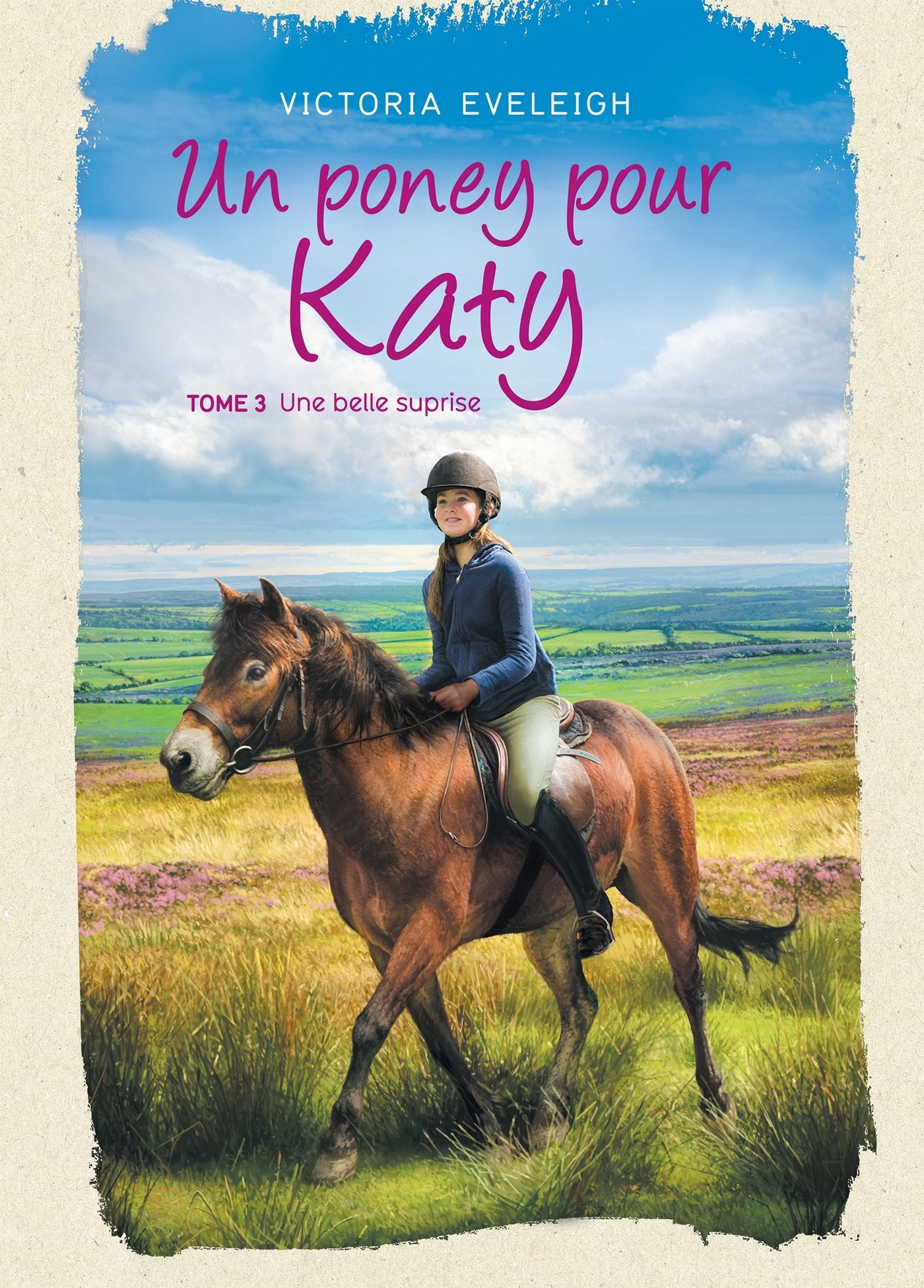 Un poney pour Katy - Tome 3: Une belle surprise book
