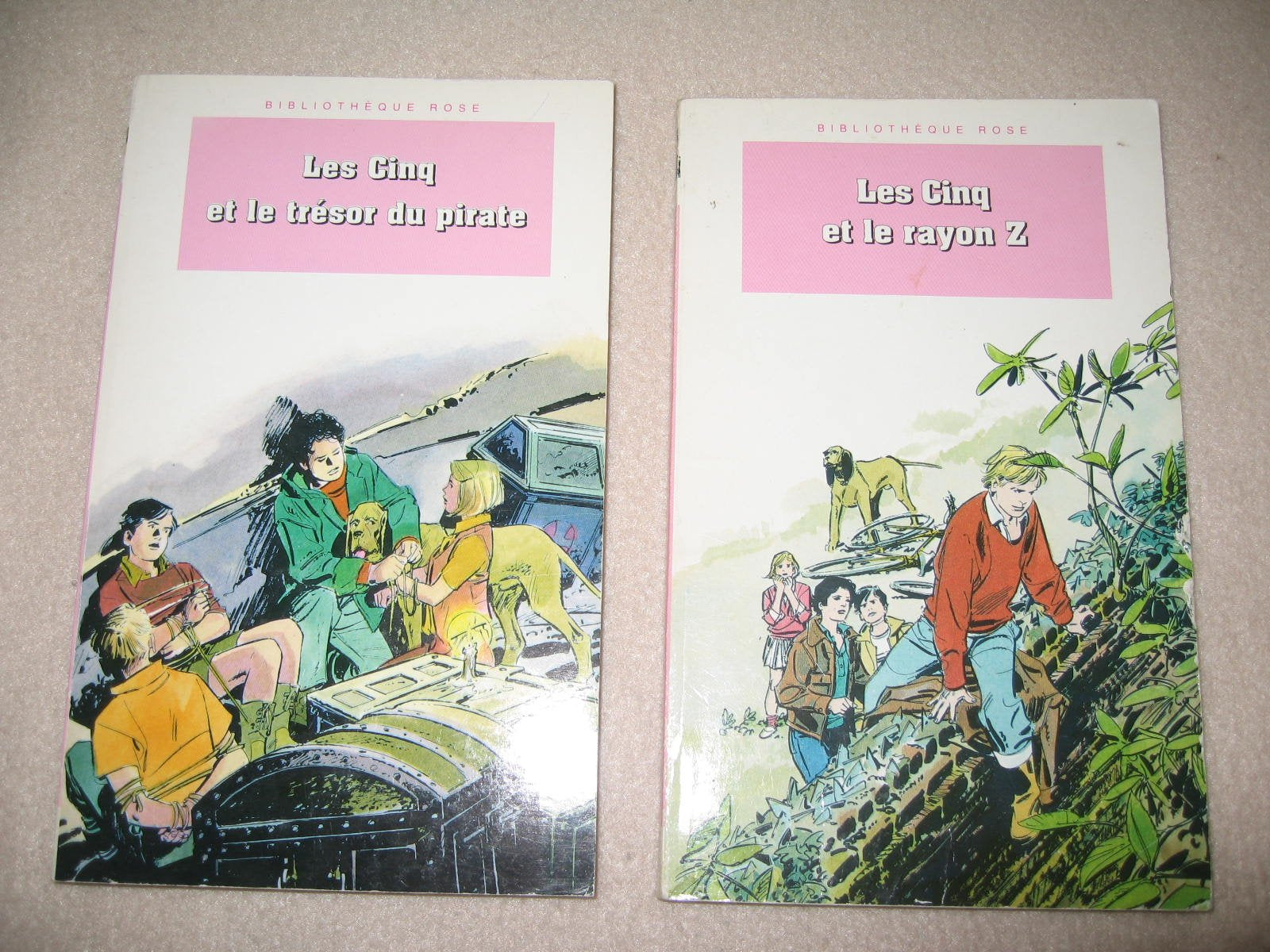 Les Cinq et le trésor du pirate: Une nouvelle aventure des personnages créés par Enid Blyton Books