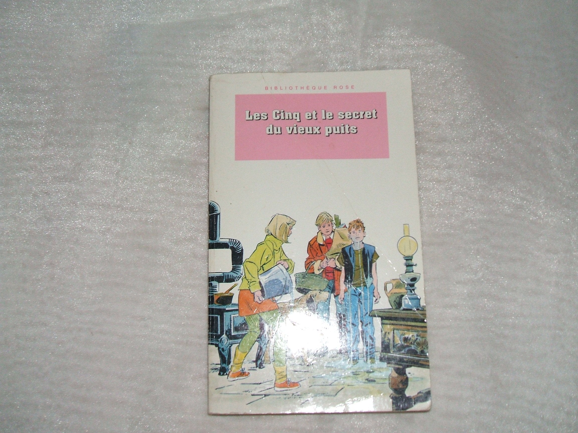 Les Cinq et le secret du vieux puits: Une nouvelle aventure des personnages créés par Enid Blyton Books