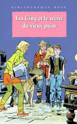Les Cinq Et Le Secret Du Vieux Puits Books