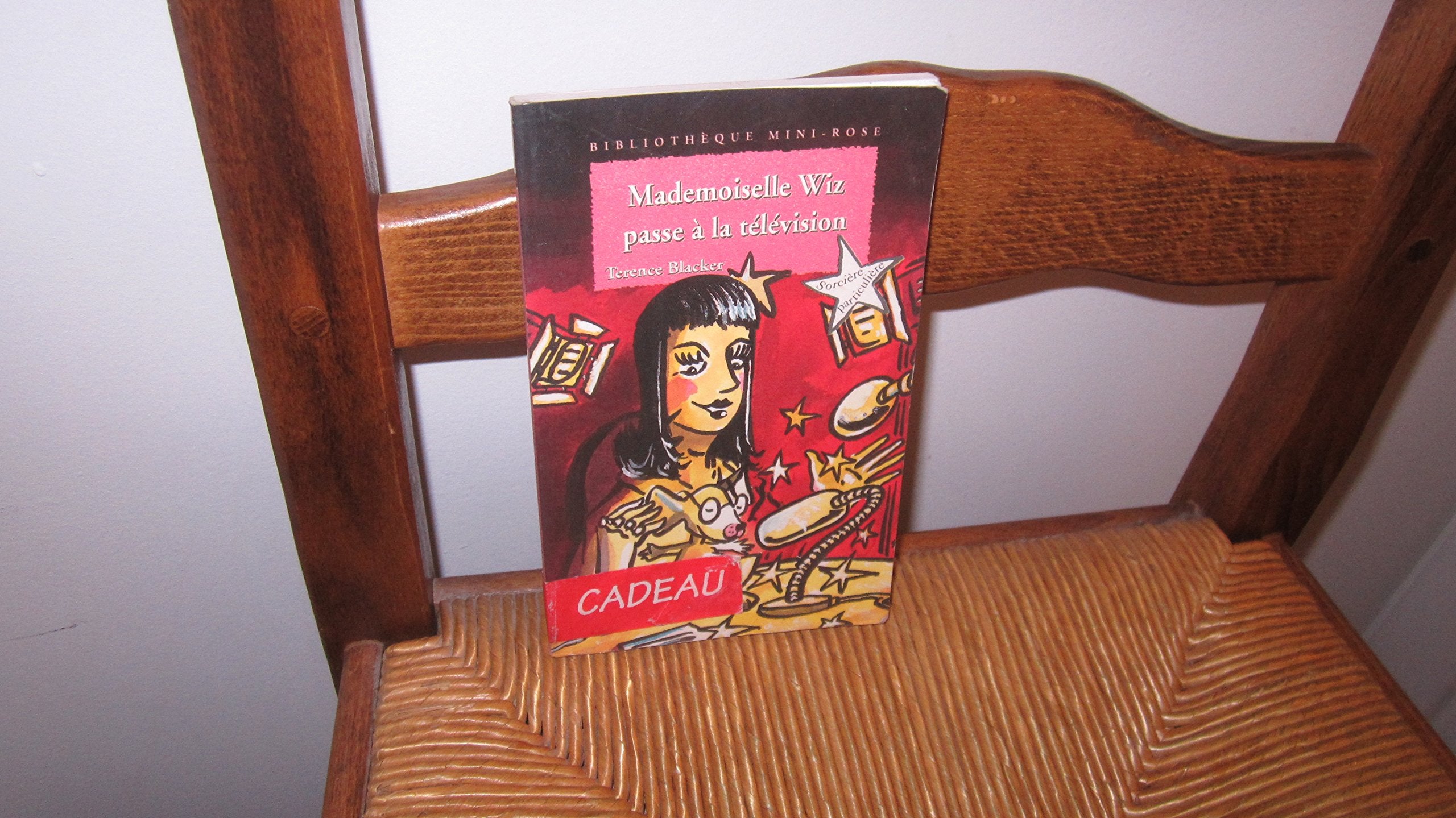 Mademoiselle Wiz passe à la télévision book