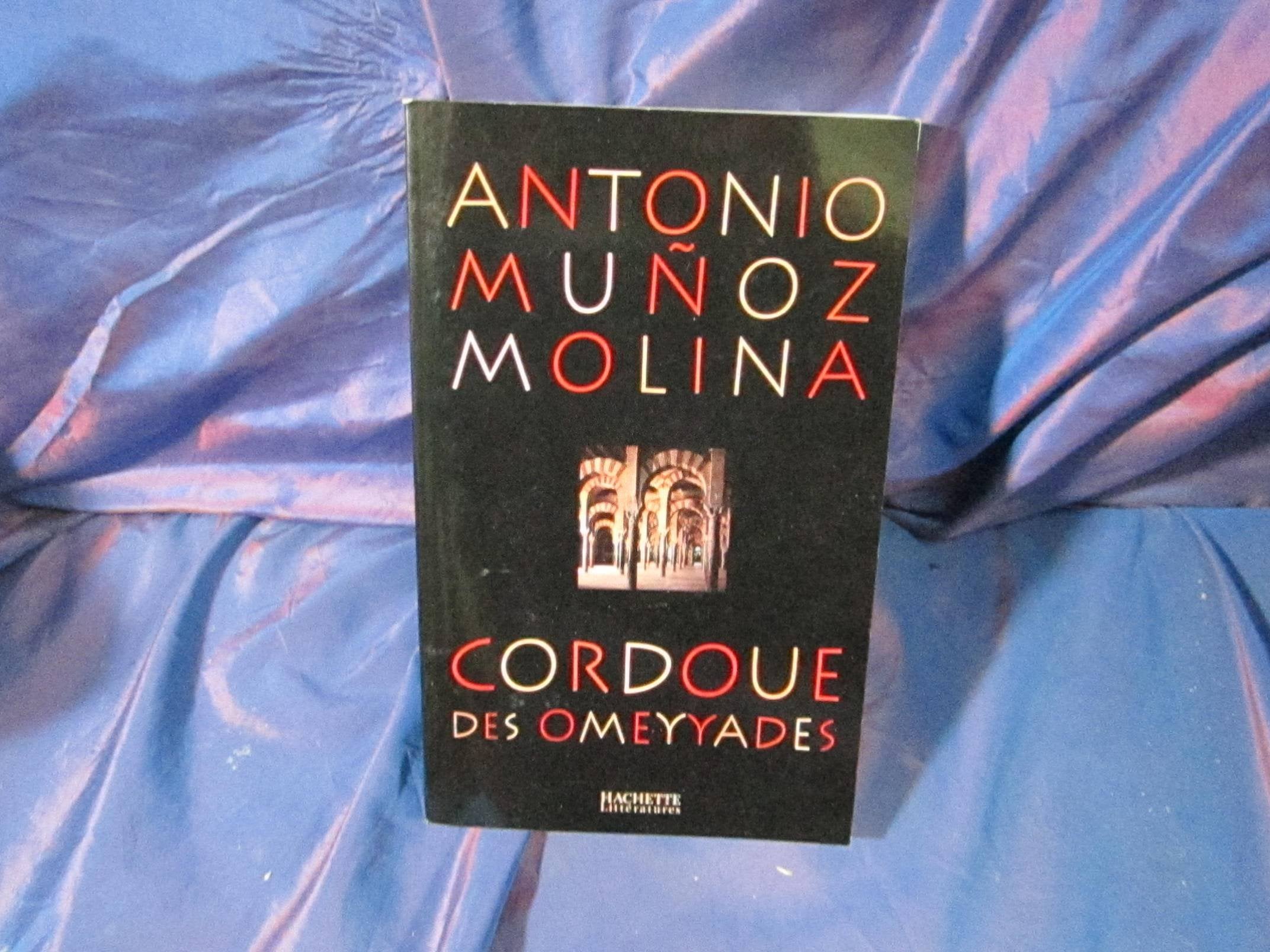 La Cordoue des Omeyyades book