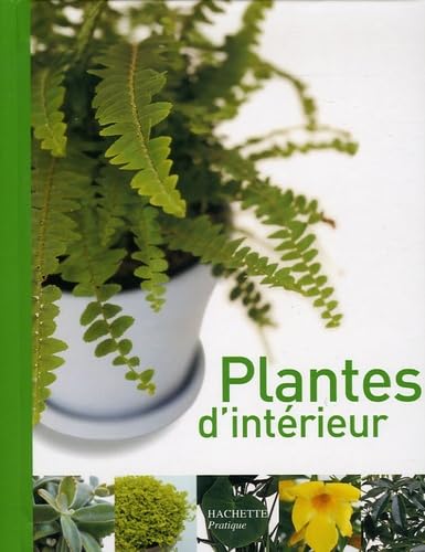 Product Image: Plantes d'intérieur