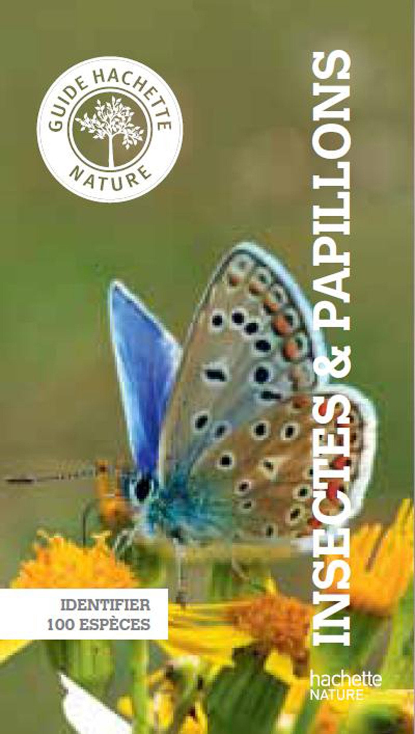 Insectes & papillons Books