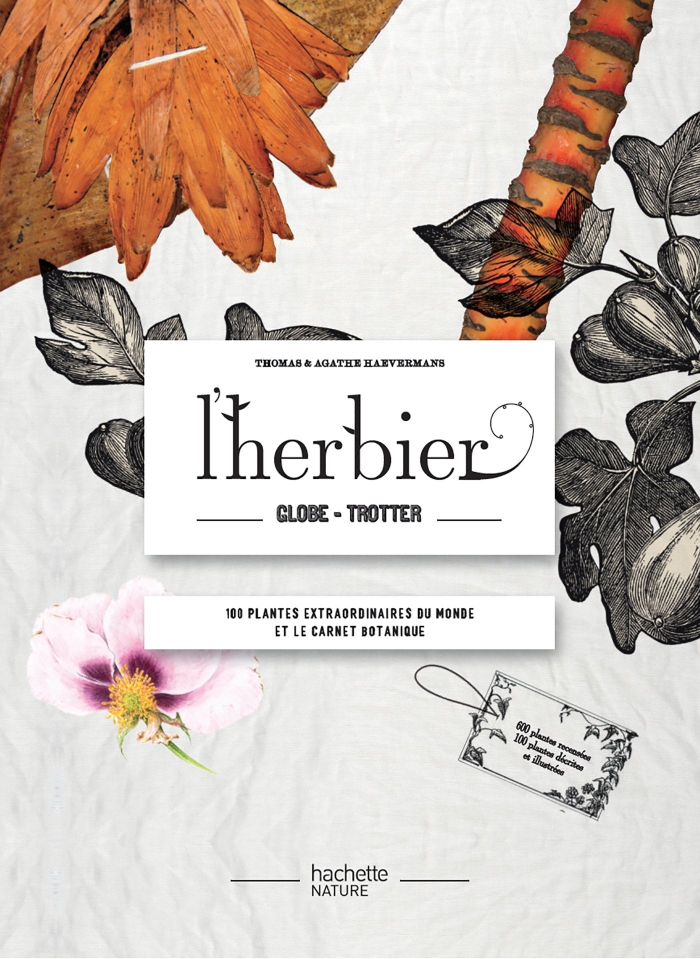 Coffret L'herbier globe-trotter: Avec un carnet botanique book