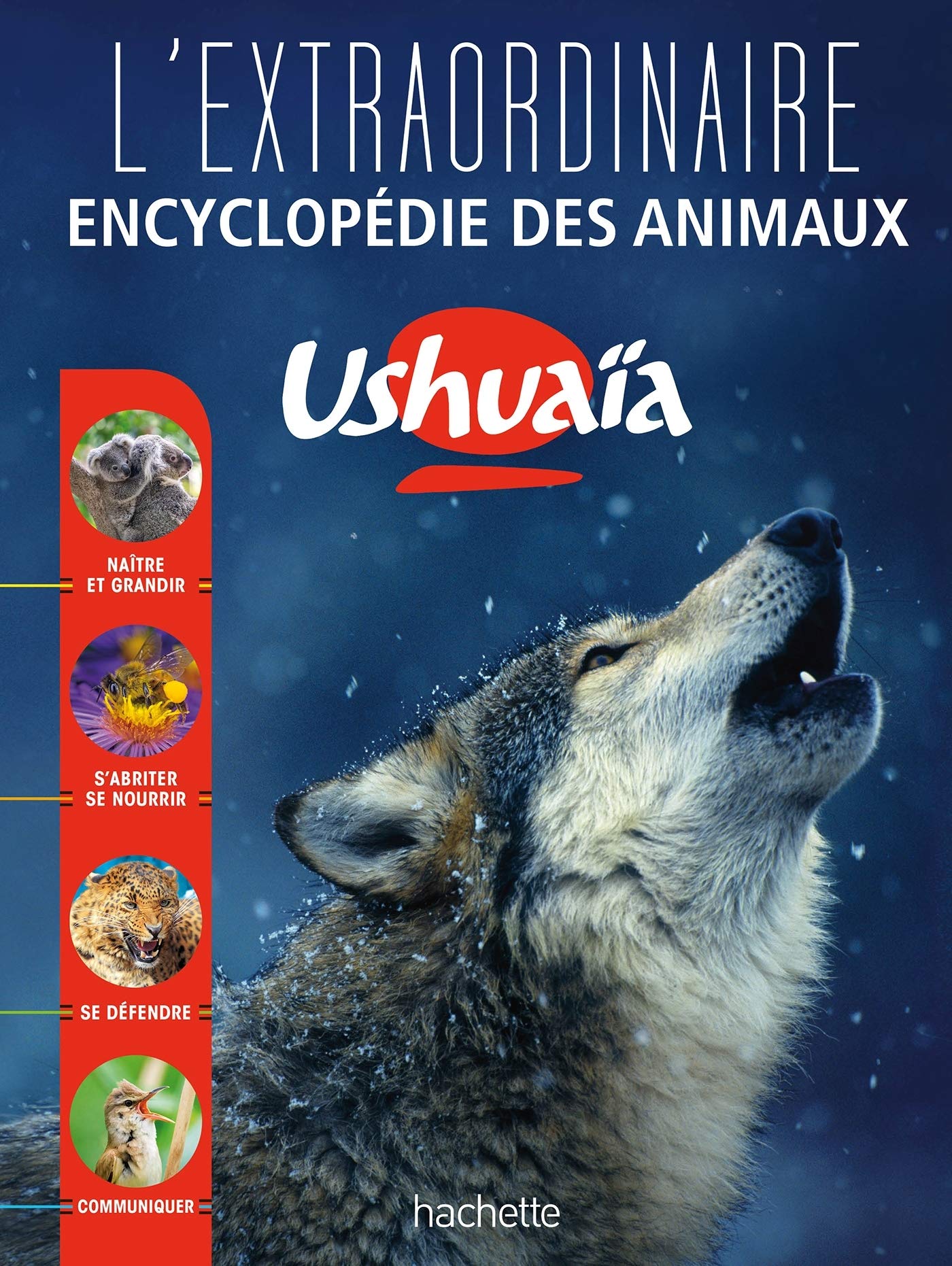 L'extraordinaire encyclopedie des animaux Reference Books