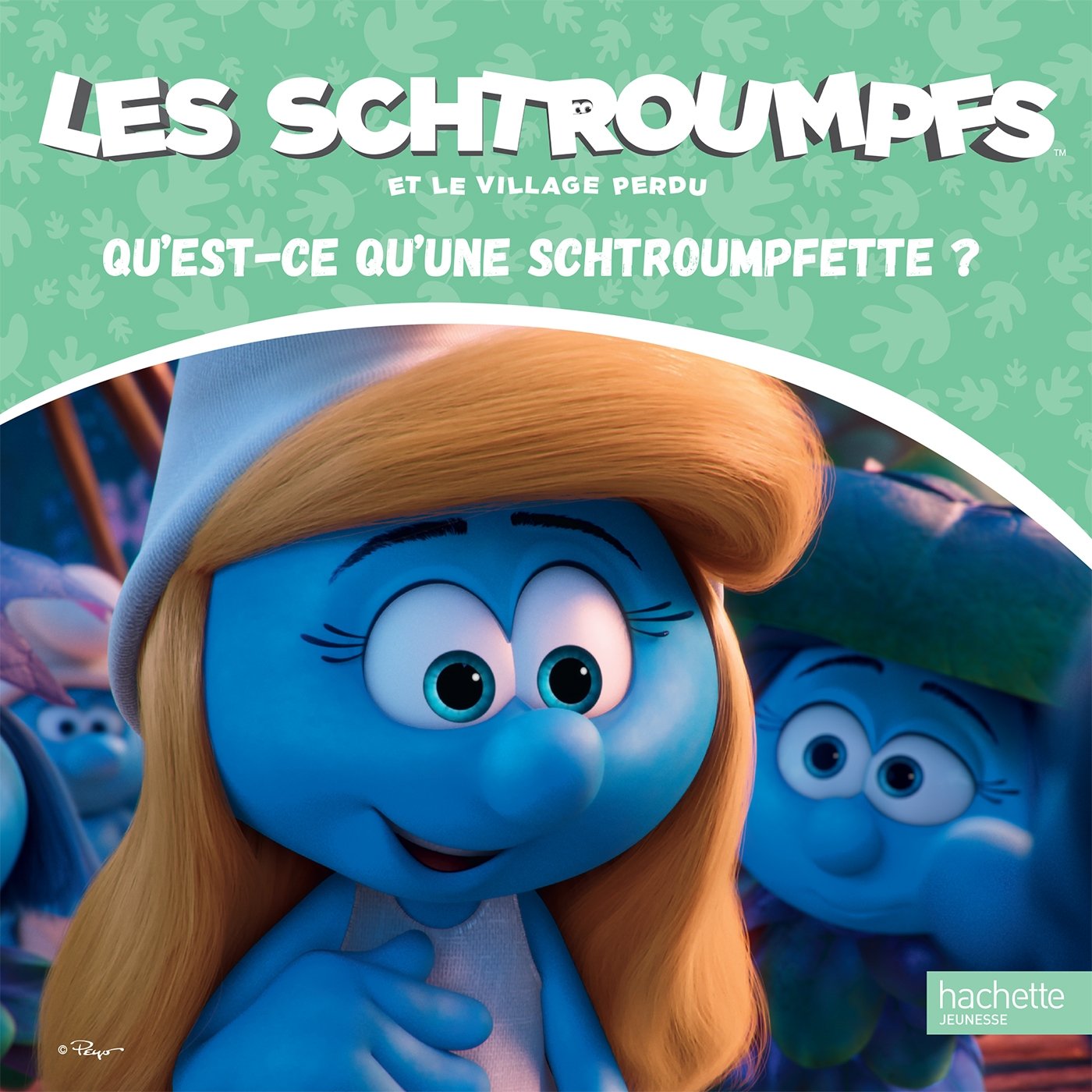 LES SCHTROUMPFS ET LE VILLAGE PERDU - qu'est-ce qu'une schtroumpfette ? book