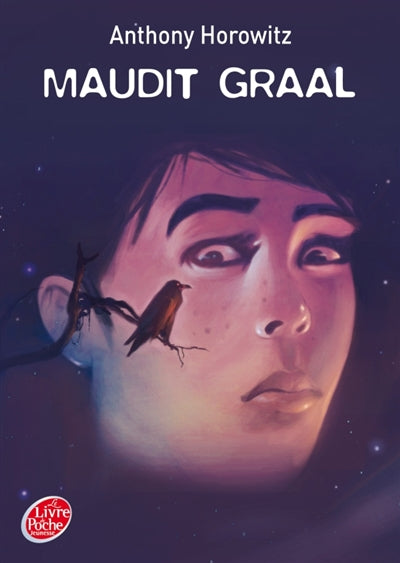 Product Image: Les aventures de David Eliot. Vol. 2. Maudit Graal