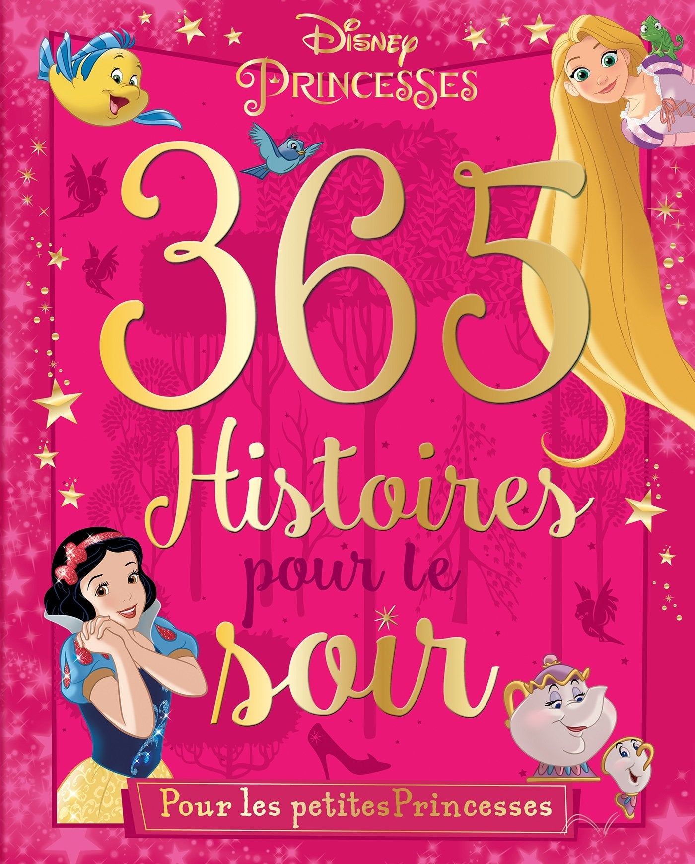 365 histoires pour le soir: Pour les petites princesses book
