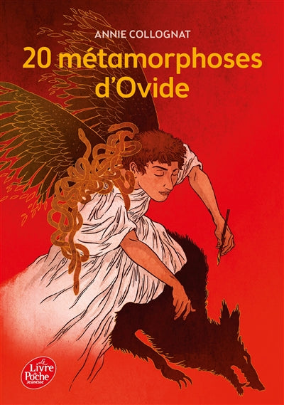 Product Image: 20 métamorphoses d'Ovide
