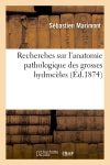 Recherches sur l'anatomie pathologique des grosses hydrocèles Business & Technology