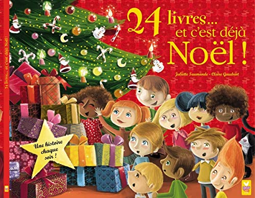24 livres ... et c'est déjà Noël ! book