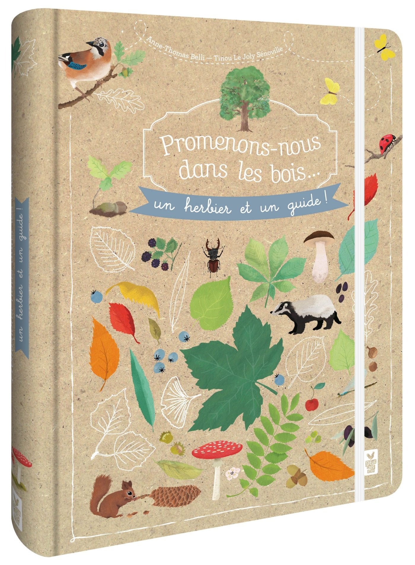 Promenons-nous dans les bois - Un herbier et un guide book