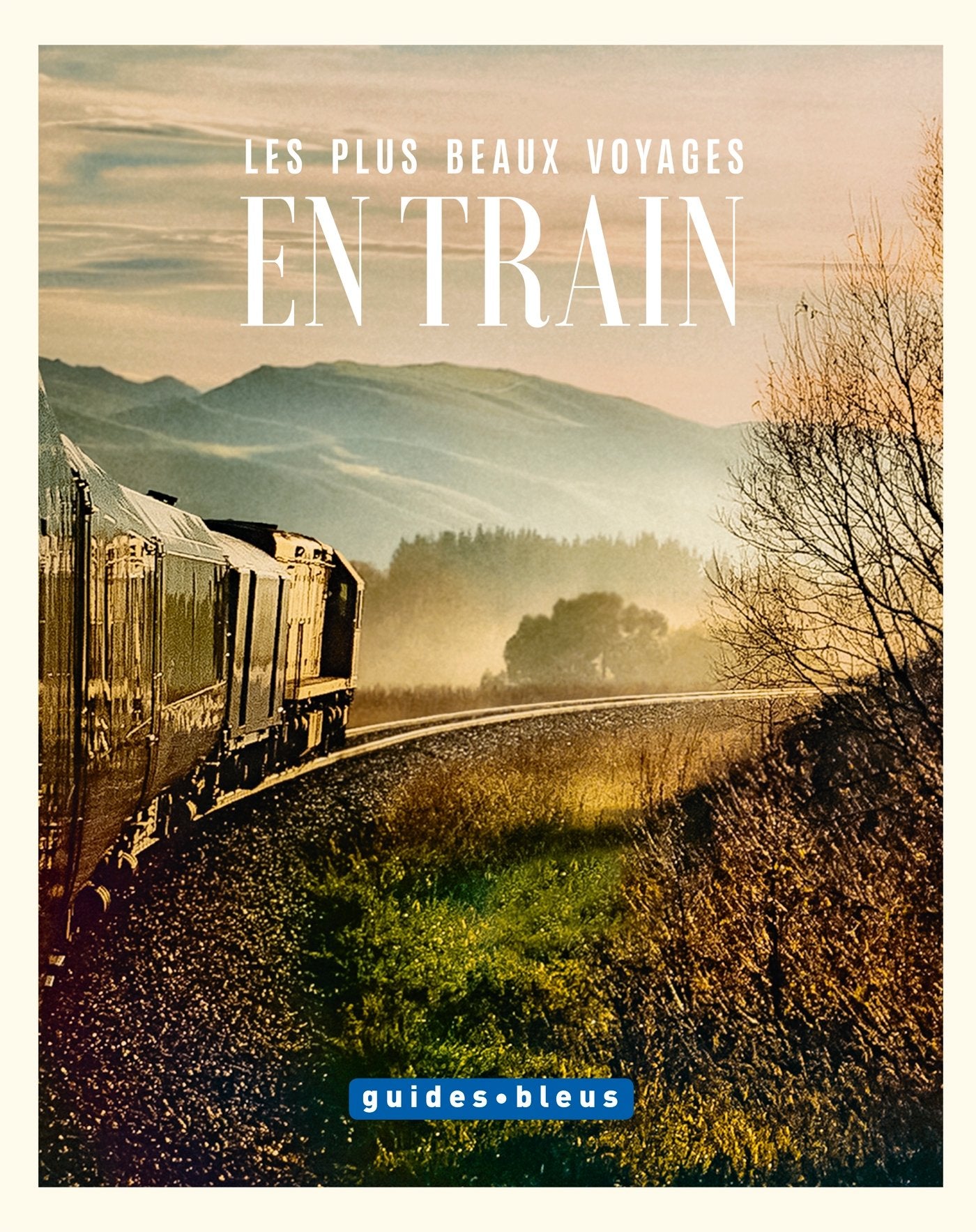 LES PLUS BEAUX VOYAGES EN TRAIN: L'art du voyage - Les Guides Bleus Leisure, Home & Garden