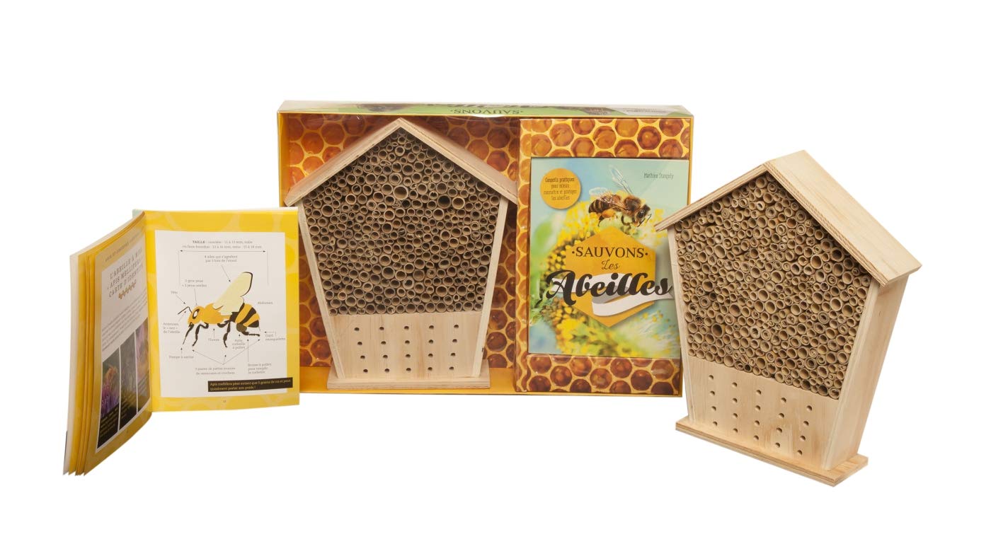 Coffret Sauvons les abeilles Nouvelle édition: conseils pratiques pour mieux connaître et protéger les abeilles Leisure, Home & Garden