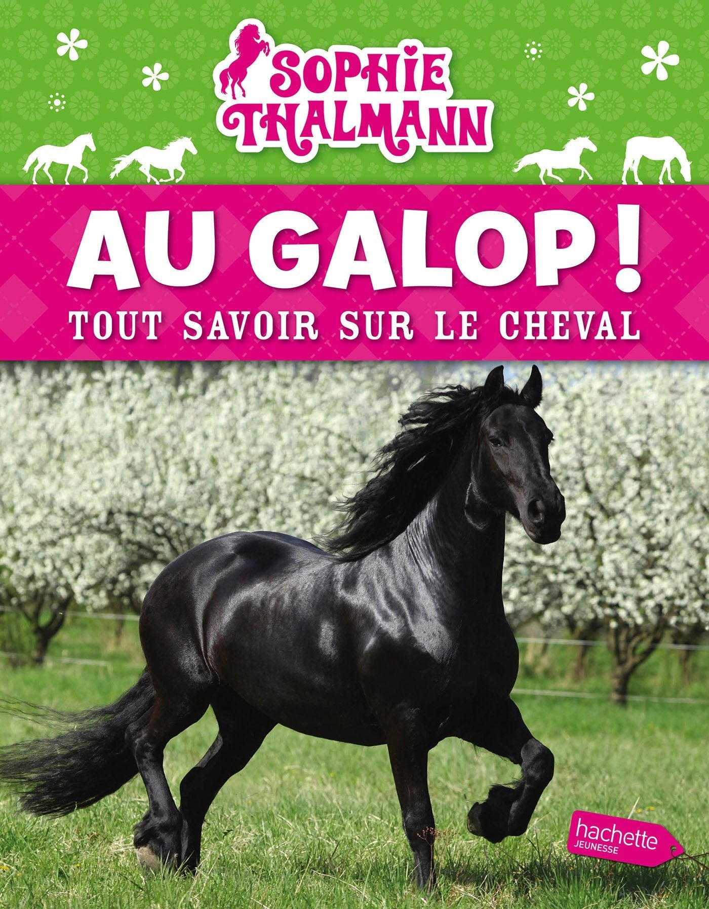 Product Image: Sophie Thalmann / Au galop (refonte)