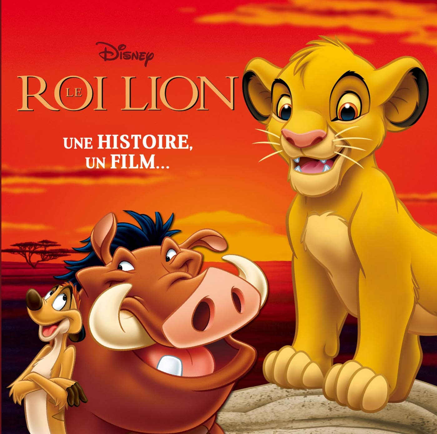 Le Roi Lion: Une histoire, un film... book