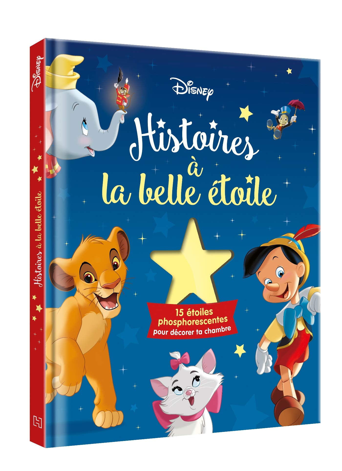 Histoires à la belle étoile: Avec 15 étoiles phosphorescentes pour décorer ta chambre book