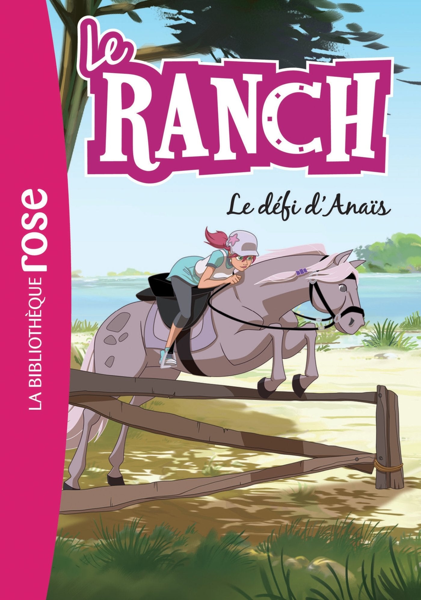 Le Ranch 11 - Le défi d'Anaïs book
