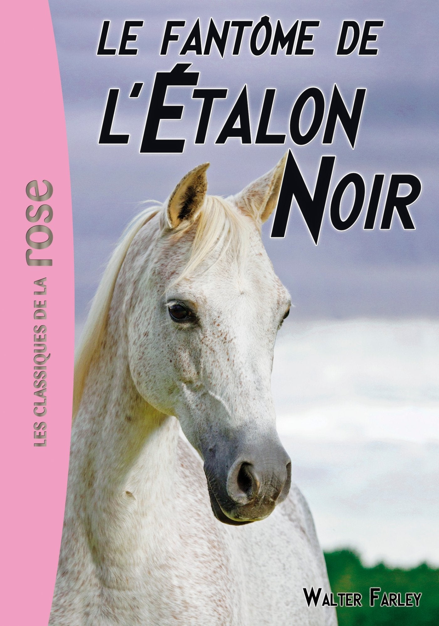 L'Étalon Noir 16 - Le fantôme de l'Étalon Noir book