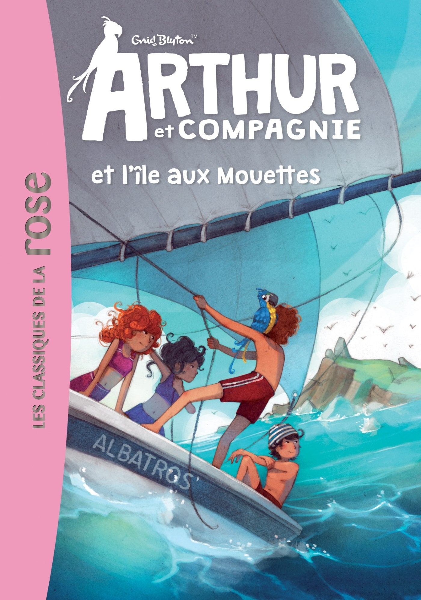 ARTHUR ET CIE 01 - ARTHUR ET CIE ET L'ILE AUX MOUETTES book