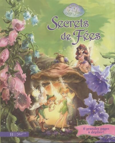 Secrets de Fées book