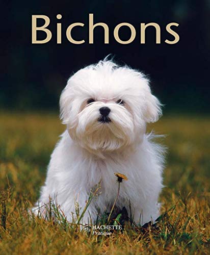 Bichons: Bien les comprendre et bien les soigner, les conseils d'un expert pour votre animal favori Books