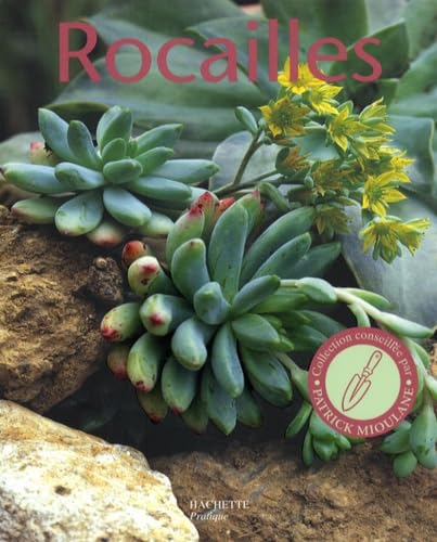 Rocailles: Pour réaliser chez soi un paysage naturel miniature Books