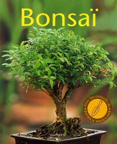Bonsaï : Tous les bons conseils pour l'achat, la culture et la taille. L'apprentissage de la ligature et de la mise en forme Books