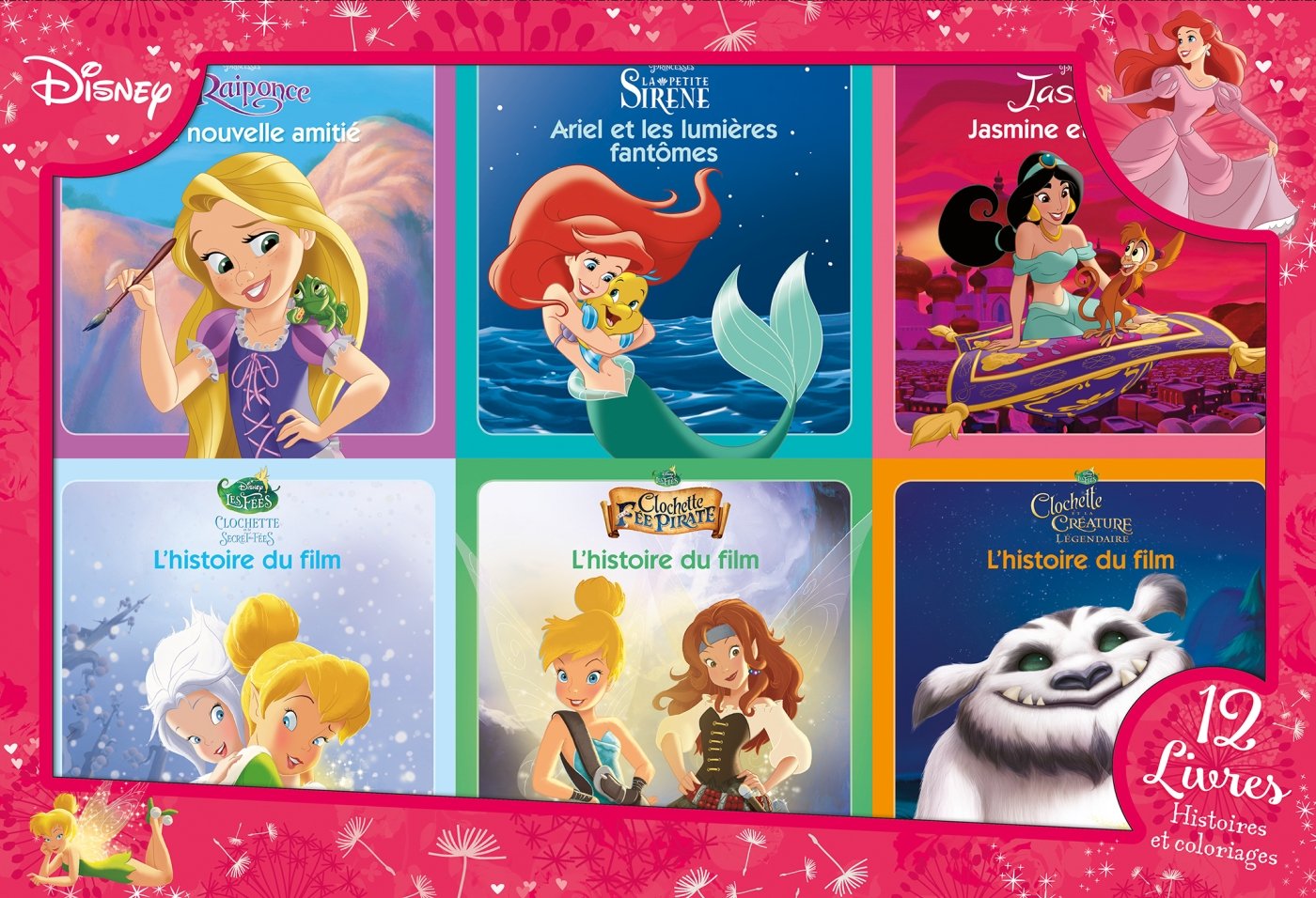 DISNEY PRINCESSES - Coffret 12 livres - 6 Histoires + 6 Coloriages: 12 livres d'histoires et coloriages Non-fiction