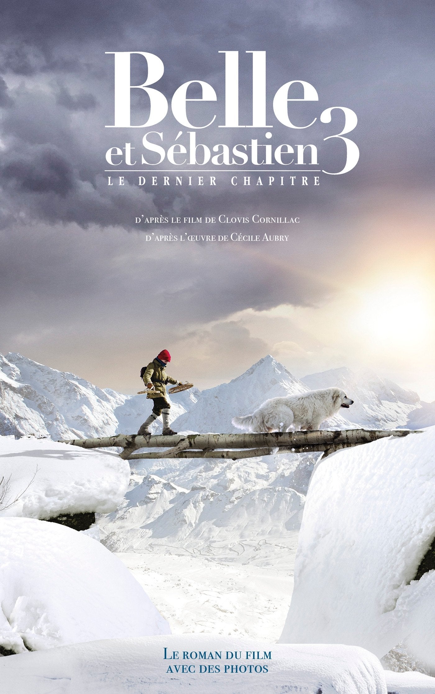Belle et Sébastien - Le Dernier Chapitre: Novélisation - Tome 3 book