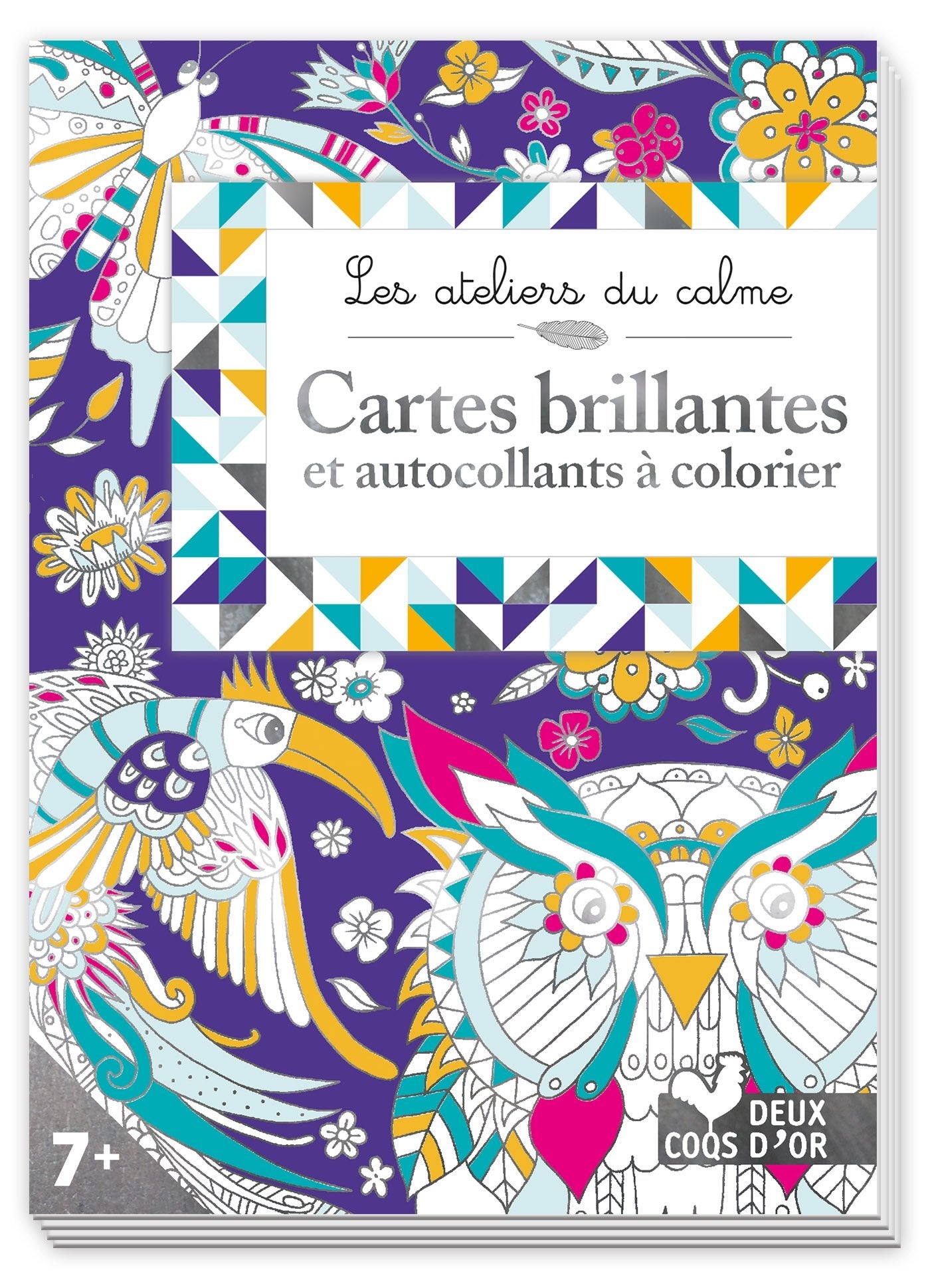 Cartes brillantes à colorier: et autocollants Tiptoi & Games