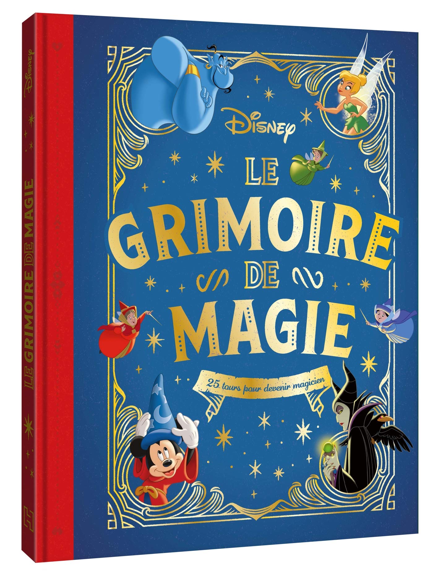 DISNEY - Le Grimoire de Magie - 25 tours pour devenir magicien book
