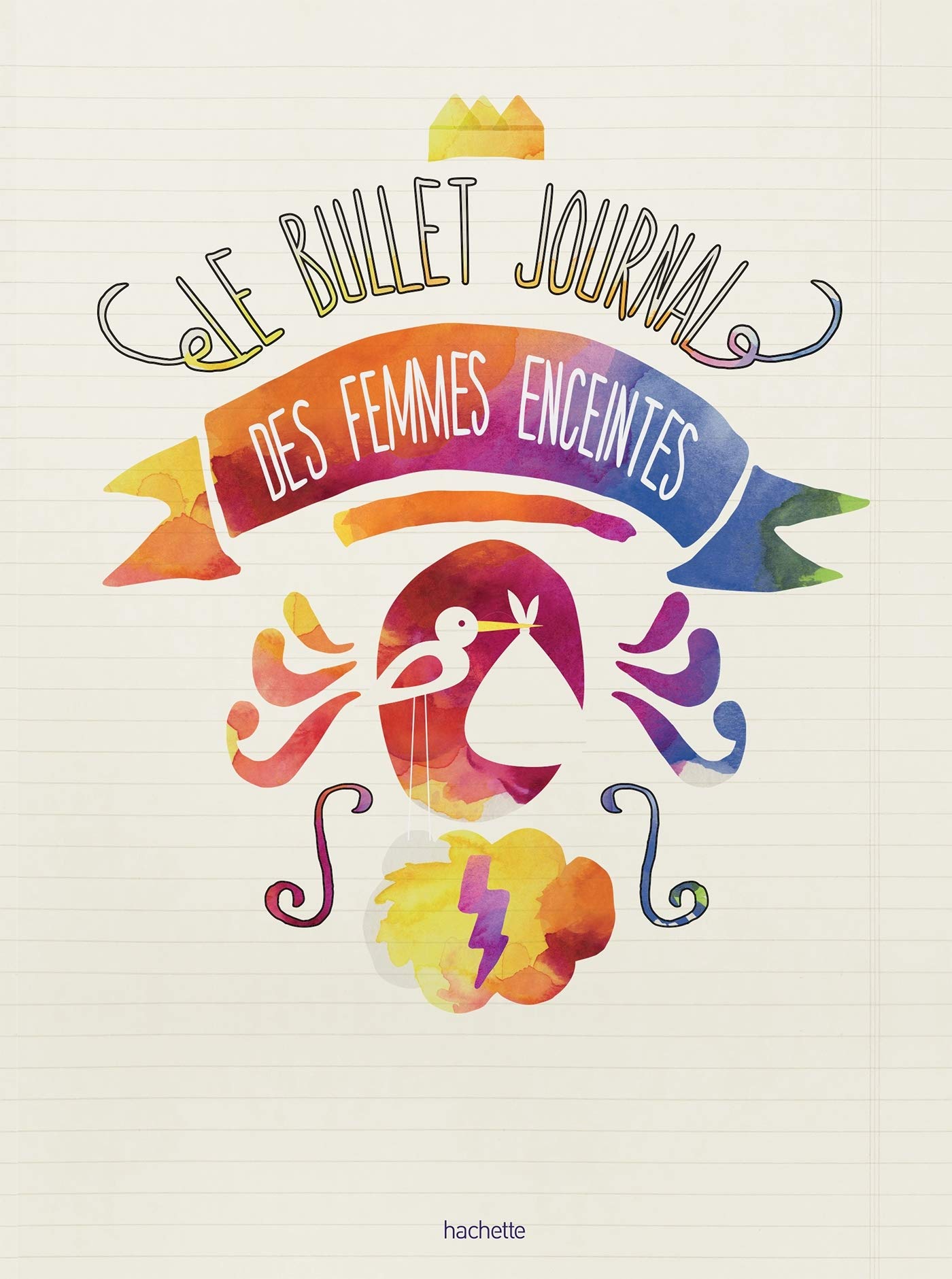 Le bullet journal des femmes enceintes book