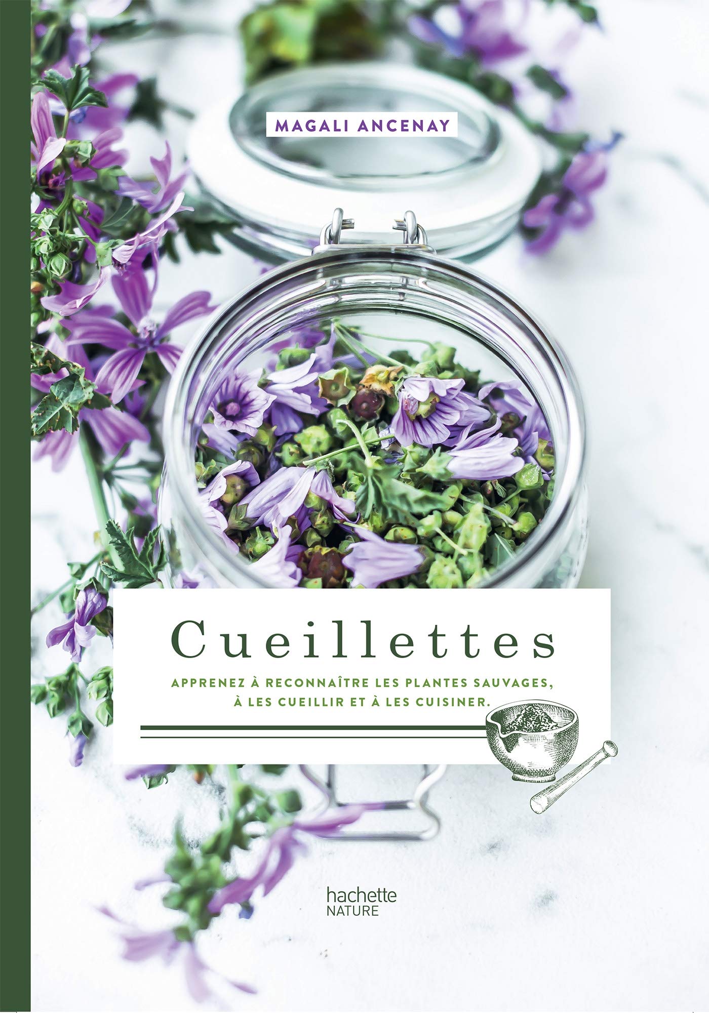 Cueillettes: Apprenez à reconnaître les plantes sauvages, à les cueillir et à les cuisiner. Garden & Plants