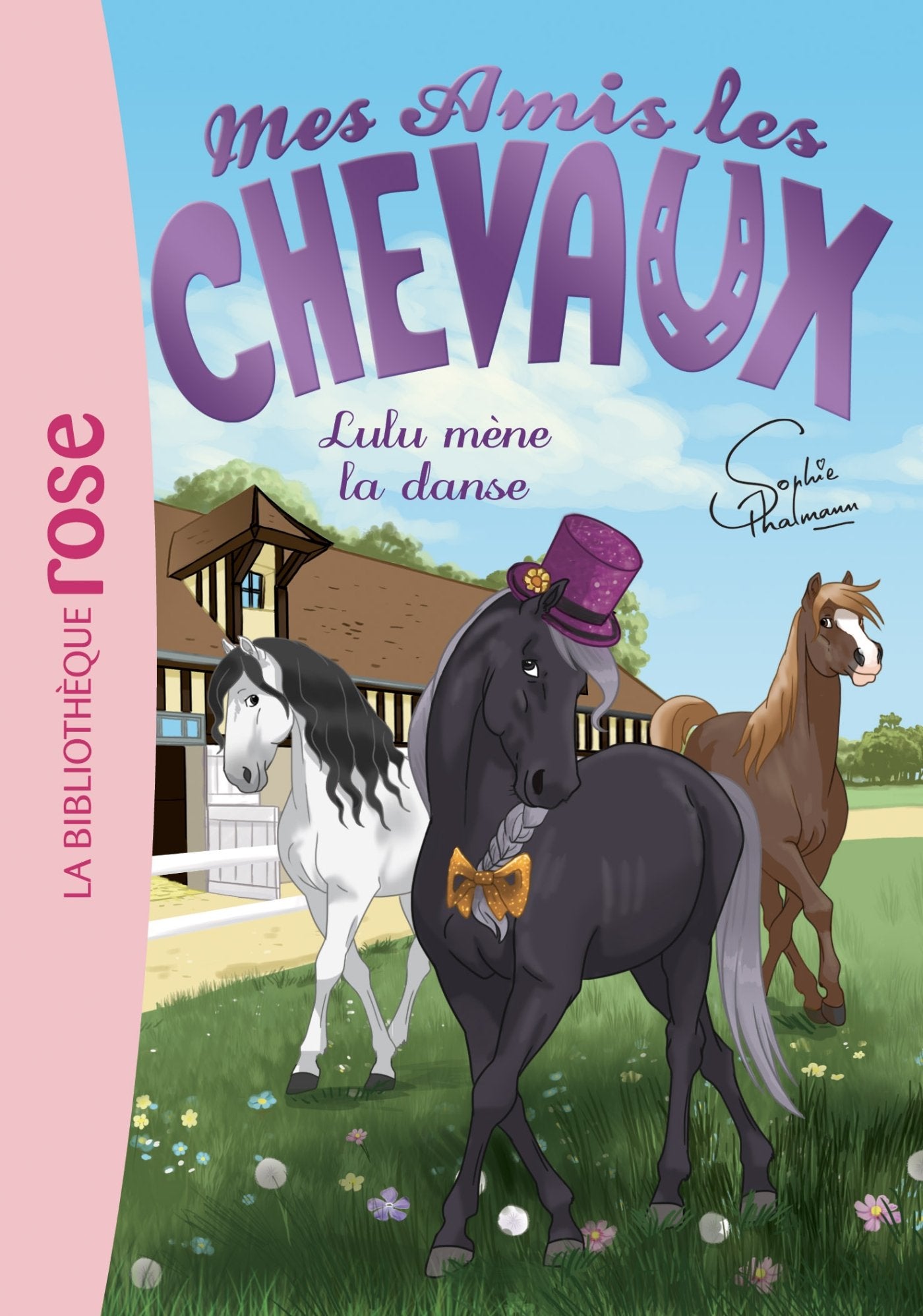 Mes amis les chevaux 22 - Lulu mène la danse book